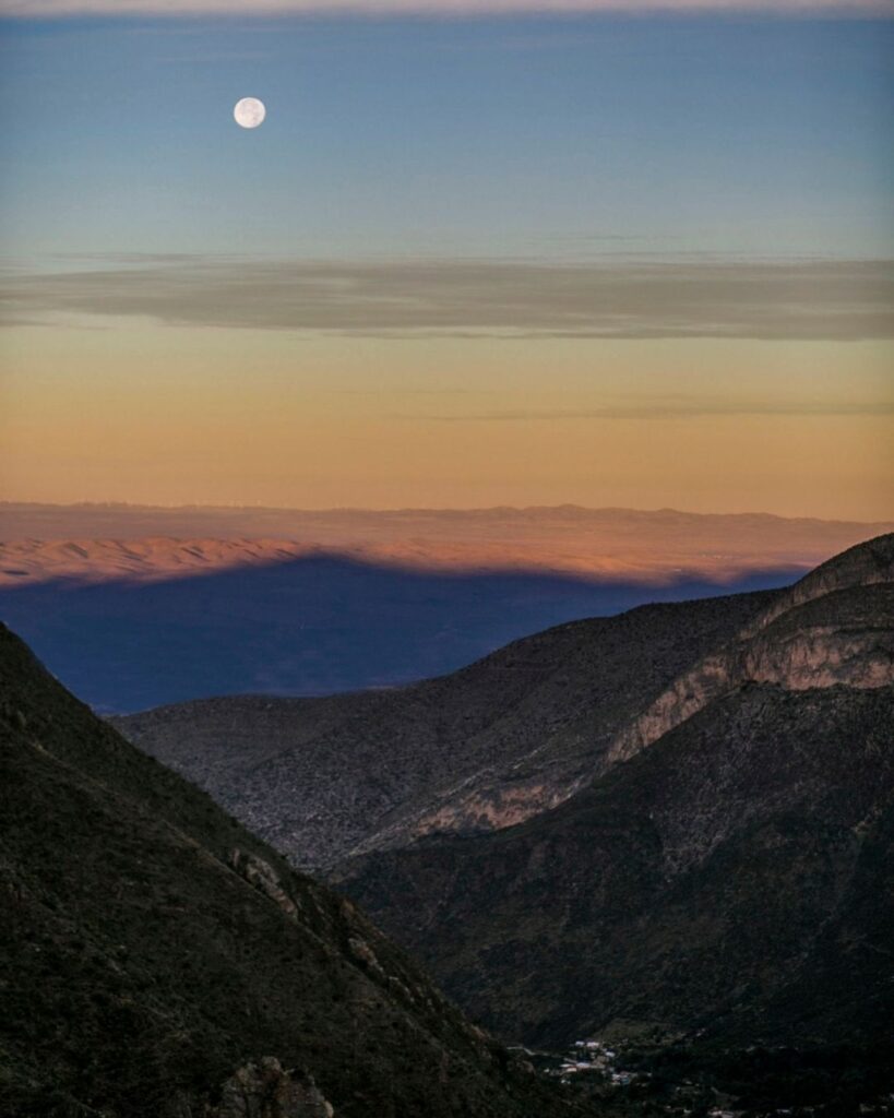 peyote_vertical (4)